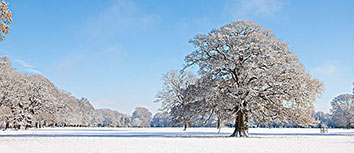 克罗地亚战胜斯洛文尼亚，点燃荣耀之火