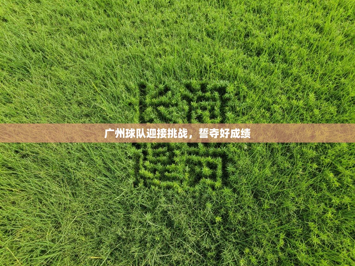 广州球队迎接挑战,誓夺好成绩 第1张