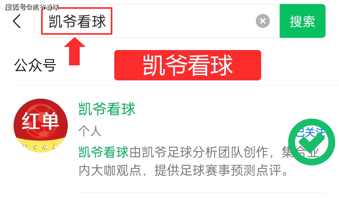 爱游戏在线-河床备战世俱杯半决赛，鹿岛鹿角状态成关键的简单介绍