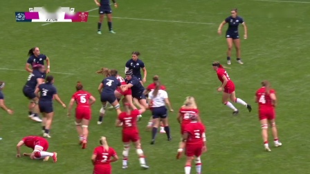 威尔士选手在橄榄球比赛中取得胜利